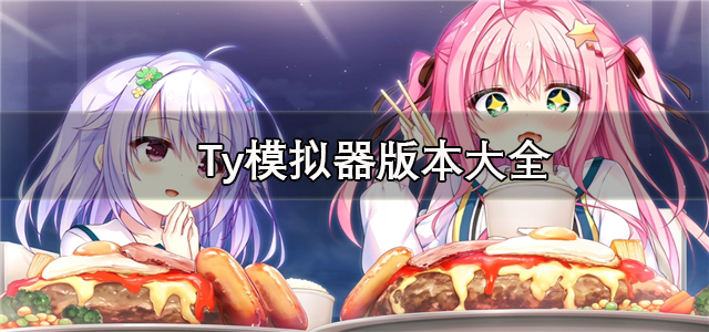ty模拟器