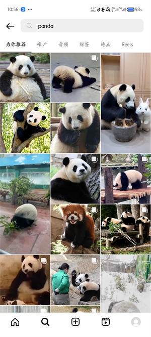 instagram中文版截图1