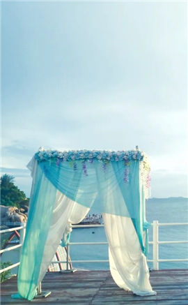 最新snapseed中文版