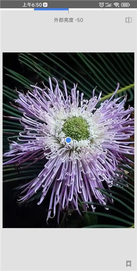 snapseed中文版最新版本