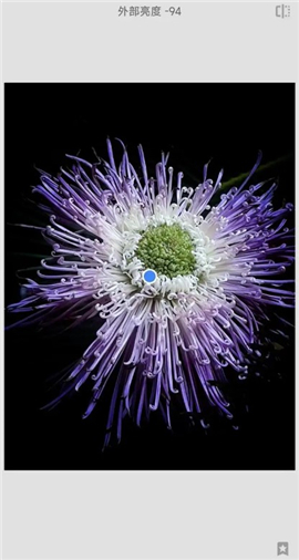 snapseed中文版最新版本