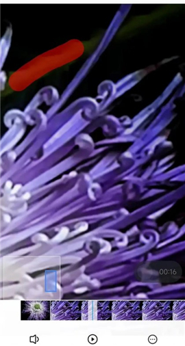 snapseed中文版最新版本