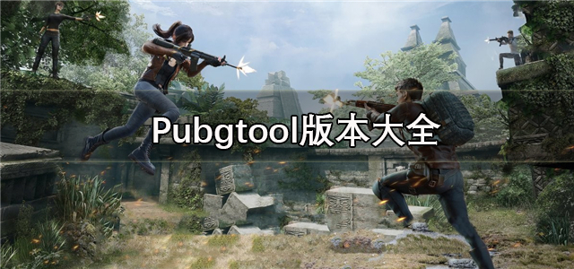 pubgtool