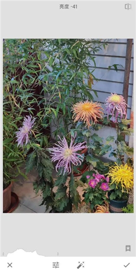 手机修图软件snapseed新版下载2024