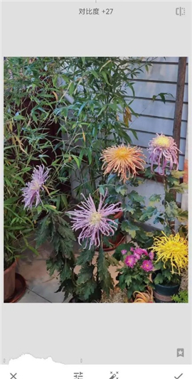 手机修图软件snapseed新版下载2024