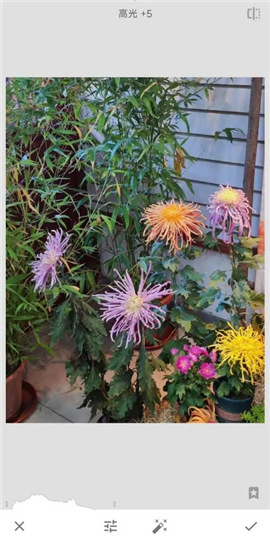 手机修图软件snapseed新版下载2024