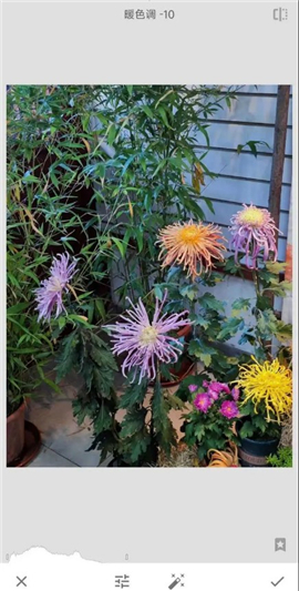 手机修图软件snapseed新版下载2024