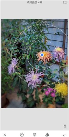 手机修图软件snapseed新版下载2024