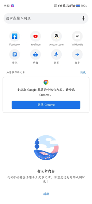 谷歌浏览器app截图2