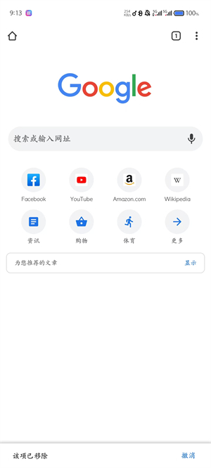 Google浏览器手机版截图1