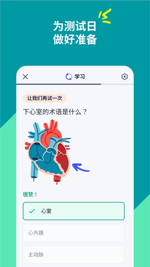 quizlet安卓版下载截图2