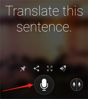 微软翻译安卓版