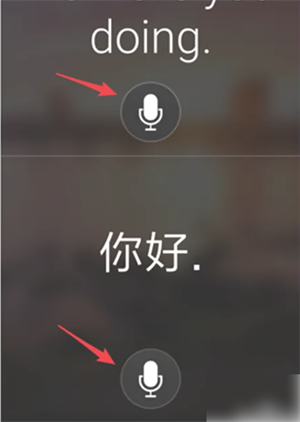 微软翻译安卓版
