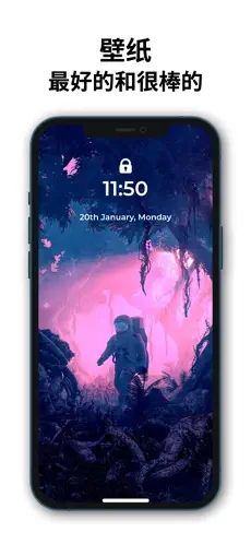 麻匪壁纸app下载安装截图1