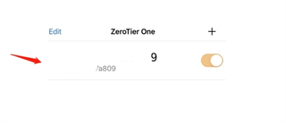 ZeroTier One下载安装