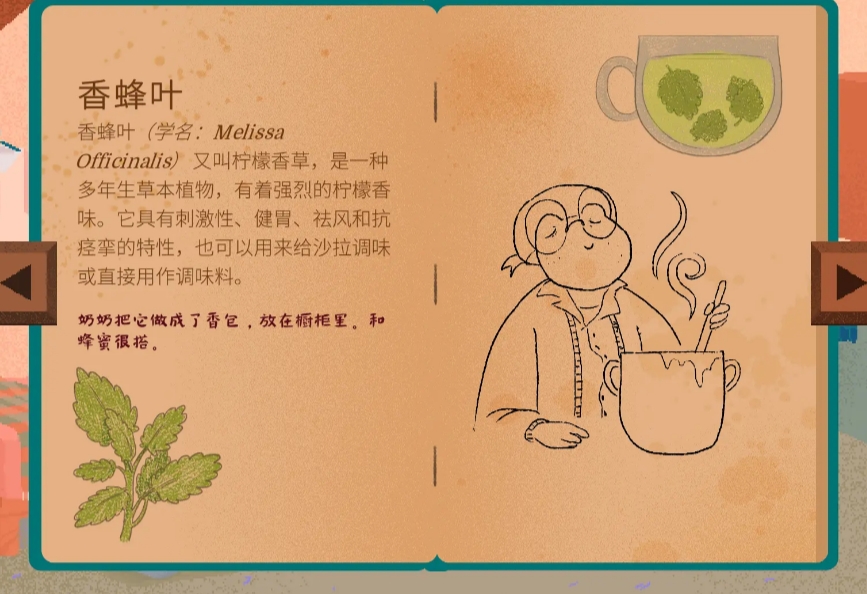 茶杯物语