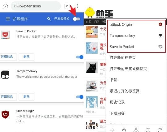 kiwi浏览器app下载安装