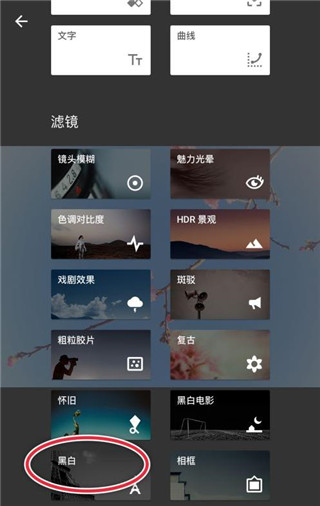 小叶子修图软件下载安装