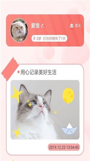 宠物养成记截图3