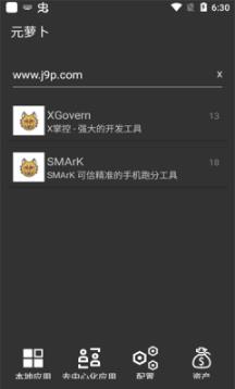 元萝卜xposed模块截图2