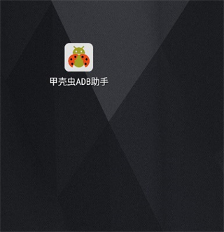 甲壳虫adb助手手表版
