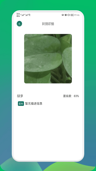 小园丁植物识别截图1