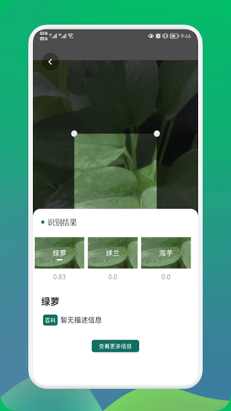 小园丁植物识别截图2