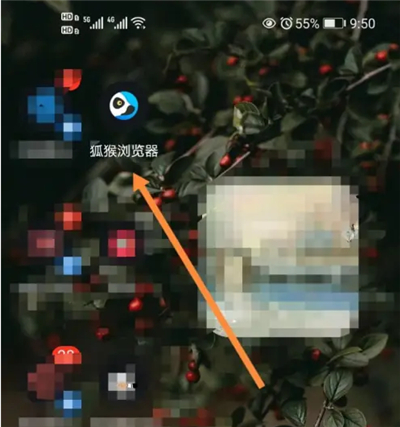 狐猴浏览器(Lemur Browser)下载安卓手机版