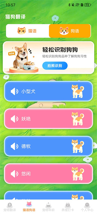 宠物猫咪翻译器