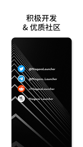 niagara launcher汉化版下载完整版截图5