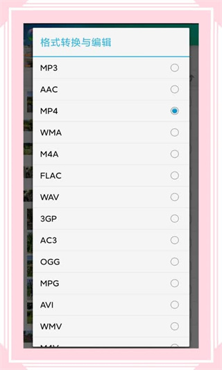 视音格式转换截图4