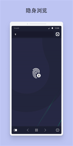 Vivaldi浏览器截图1