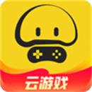蘑菇云游戏