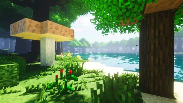 我的世界自然主义