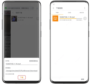 Pure浏览器增强版