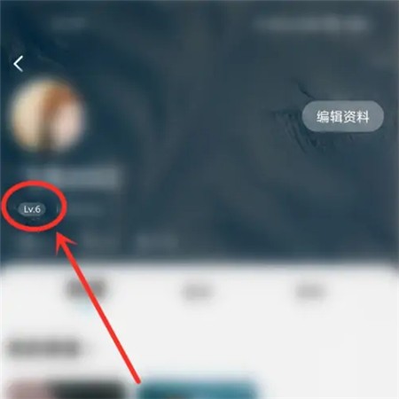 酷狗概念版电脑版