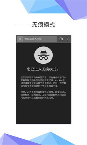 双子星浏览器安卓版