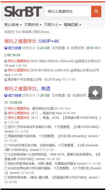 skrbt浏览器app下载安装截图1