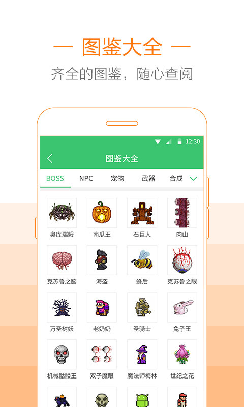 4399泰拉瑞亚助手盒子截图2