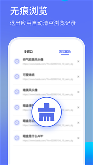 暗盒浏览器截图1