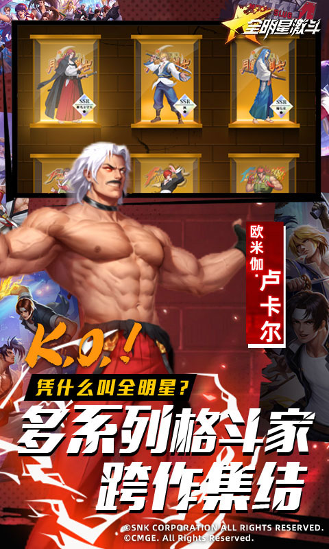 全明星激斗截图3