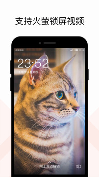 火萤壁纸老版本截图4