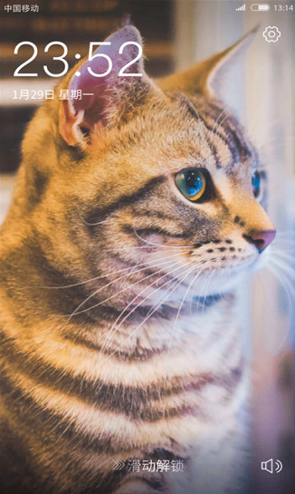 火萤壁纸老版本