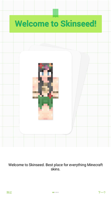Skinseed皮肤编辑器截图1