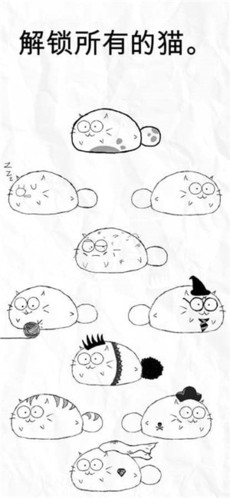 fatty cat软件下载截图1