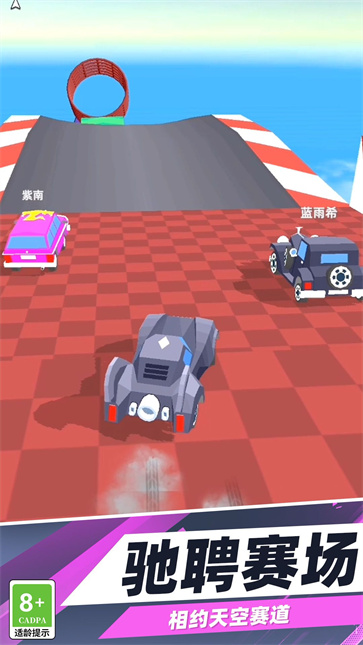 赛车能手截图3