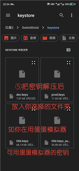 skyline模拟器安卓版汉化版