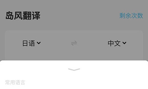 岛风游戏翻译大师