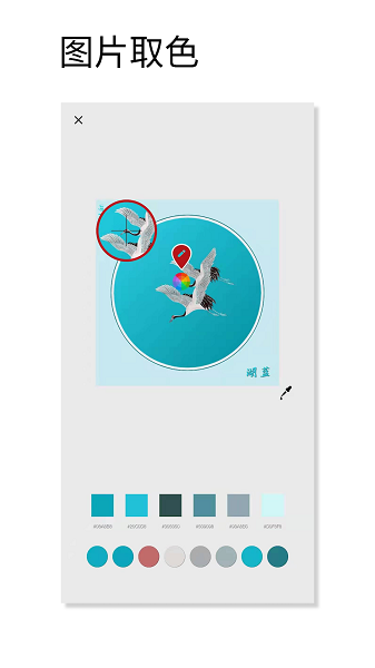 观色配色截图4