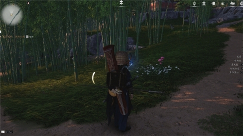 燕云十六声清河曲径寻幽全收集 清河蓝蝴蝶位置汇总